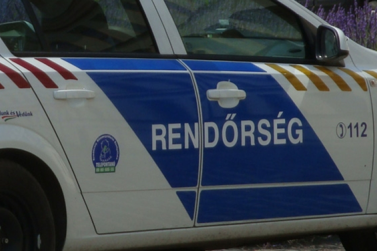 Tizenegy kiló marihuánát találtak a pénzügyőrök Röszkén